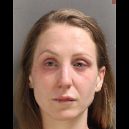 Image for Cornish, Courtnie Georgetta  - (2 COUNTS) DUI and 1 additional charge