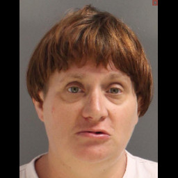 Image for Dell, Elizabeth A  - (1 COUNT) RETAIL THEFT (S)