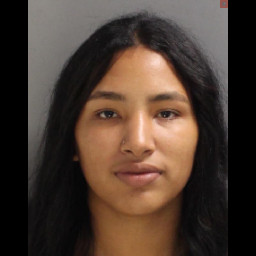 Image for Nieves, Aleysha Michel  - (1 COUNT) RETAIL THEFT (M1) and 1 additional charge