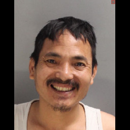 Image for Tamang, Jas Bir  - (2 COUNTS) DUI and 1 additional charge