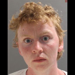 Image for Callahan, Katie Malloy  - (1 COUNT) RETAIL THEFT (S)