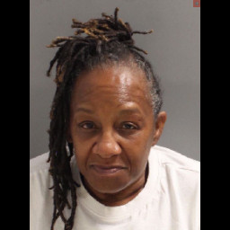 Image for Brown, Cherie Len  - (2 COUNTS) RETAIL THEFT (F3) and 1 additional charge