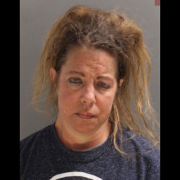Image for Feltman, Kristen Leigh  - (1 COUNT) FLEEING OR ATTEMPTING TO ELUDE AN OFFICER (F3) and 1 additional charge