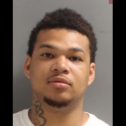 Image for Way, Jamall Dupree Jr. - (1 COUNT) RETAIL THEFT (M1)