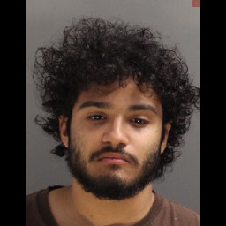 Image for Santos-Perez, Albert   - (1 COUNT) RETAIL THEFT (S)