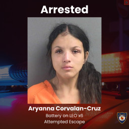 Image for Woman Arrested For Kicking, Biting, and Spitting On DeLand Police Officers
