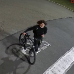 Image for Attempt to Identify