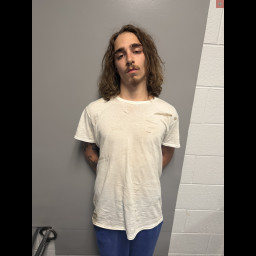 Image for Frey, Braydon R  - FLEEING AND ELUDING and 2 additional charges