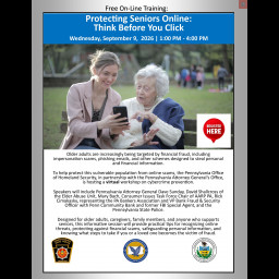 Image for Protecting Seniors Online: Think Before You Click