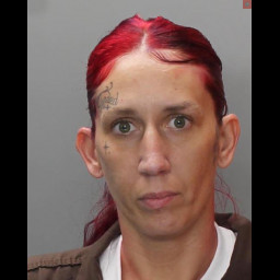 Image for Knight, Amber Nicole  - 75 3802 (D)(1)(II) DUI CONTROLLED SUBSTANCE SCHED II/III 2ND OFFENSE (M1) and 5 additional charges