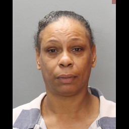 Image for Hall, Nikia Y  - 18 4106 (A)(1)(II) ACCESS DEVICE FRAUD (F3) and 4 additional charges