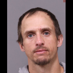 Image for Warner, Brad David Sr. - (1 COUNT) DRIVING UNDER THE INFLUENCE OF A CONTROLLED SUBSTANCE SCHEDULE II (M) and 3 additional...