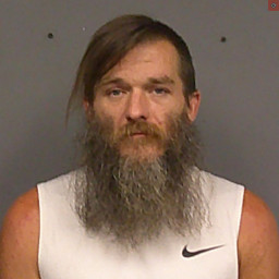 Image for Schreffler, Frank Anthony  - INTENTIONALLY POSSESS CONTROLLED SUBSTANCE BY PERSON NOT REGISTERED and 1 additional charge