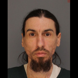 Image for Snyder, Mark Rodney Jr. - SIMPLE ASSAULT