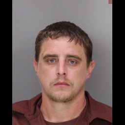 Image for RAUSCH, DAVID A Jr. - THEFT BY EXTORTION