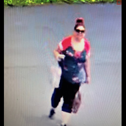 Image for Criminal Mischief Investigation