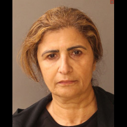 Image for Collins, Sousan   - (1) COUNT RETAIL THEFT
