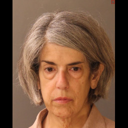 Image for Roda, Michele Nicole  - (1) COUNT RETAIL THEFT