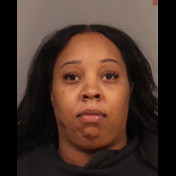 Image for Taylor, Danielle D  - (1) COUNT ACCESS DEVICE FRAUD and 1 additional charge