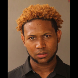 Image for Medina, Felix Manuel  - (3) COUNTS ACCESS DEVICE FRAUD and 2 additional charges