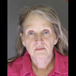 Image for Mickle, Stephanie J.  - (1) COUNT RETAIL THEFT