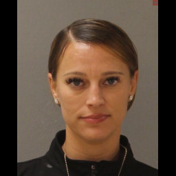 Image for Worthington, Brittany R  - THEFT BY UNLAWFUL TAKING and 2 additional charges