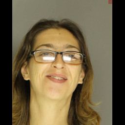Image for Altland, Gina Danielle  - 1 COUNT RETAIL THEFT (M1)