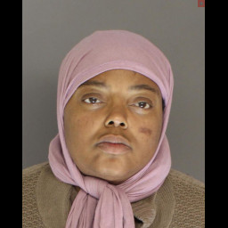 Image for WILLIS, EBONI MARISA  - RESISTING ARREST and 1 additional charge