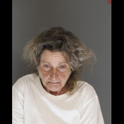 Image for SHUMAKER, JEAN L  - AGGRAVATED ASSAULT and 1 additional charge