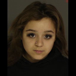 Image for STOCKLEY, DIAMOND RACHELLE  - RETAIL THEFT
