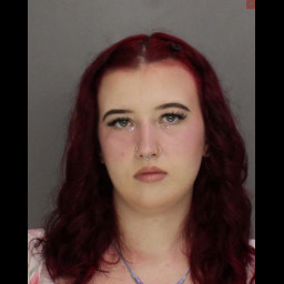 Image for Brechbill, Cherub Laya  - (2) COUNTS DRIVING UNDER THE INFLUENCE OF ALCOHOL AND/OR CONTROLLED SUBSTANCE and 1 additional charge