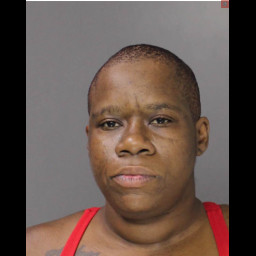 Image for Navarro, Alita Carol  - (1) COUNT AGGRAVATED ASSAULT and 1 additional charge