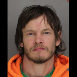 Image for Ellis, Justin Kirsch  - (1) COUNT POSSESSION OF A SMALL AMOUNT OF MARIJUANA and 1 additional charge