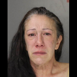 Image for Bogle, Carolynn Ann  - (1) COUNT SIMPLE ASSAULT and 1 additional charge