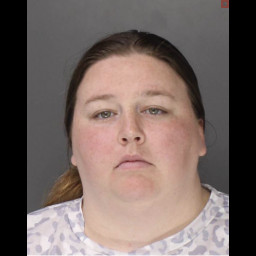 Image for Ellis, Erica Lynn  - (2) COUNTS DRIVING UNDER THE INFLUENCE OF ALCOHOL AND/OR CONTROLLED SUBSTANCE
