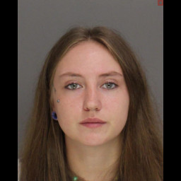 Image for Barrick, Sarah Inez  - (1) COUNT POSSESSION OF DRUG PARAPHERNALIA