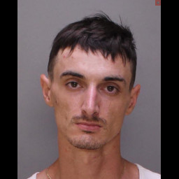 Image for IANELLI, MATEO JOSEPH  - (3) COUNTS OF 3502 A4 BURGLARY – BLDG W/O OVERNIGHT ACCOM. and 8 additional charges