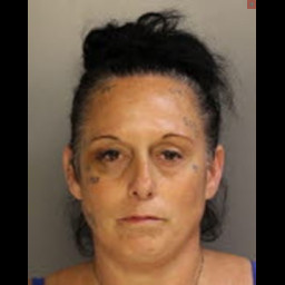 Image for Wilson, Heather  A.   - CC 3503 A1I CRIMINAL TRESPASS (F3)
