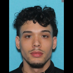 Image for Hernandez, Eric Omar  - (1) COUNT FLEEING OR ATTEMPTING TO ELUDE POLICE OFFICER (F3) and 1 additional charge