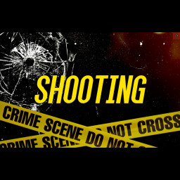 shooting_graphic.jpg