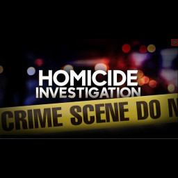 homicide_graphic.jpg