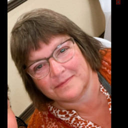 Image for Anderson, Annette Lynn  - THEFT BY DECEPTION (F3); THEFT BY UNLAWFUL TAKING (F3)