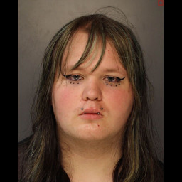 Image for Harris, Asher Michael  - 18-3304 (A4) CRIMINAL MISCHIEF (M3)