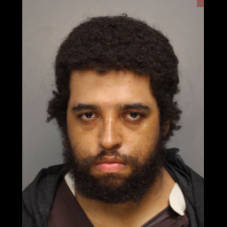 Image for Williams, Jasill Malik  - 18-6106 (A1) FIREARMS CARRIED W/OUT LICENSE (F3) and 1 additional charge