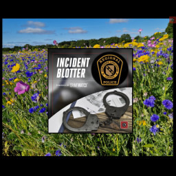 Image for NLCRPD Police Blotter 7/14/2026