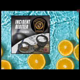 Image for NLCRPD Police Blotter 7/22/2026