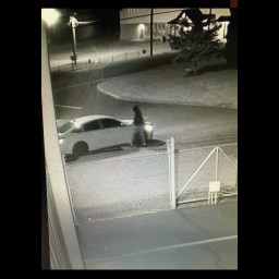 Image for Help us ID This Thief!
