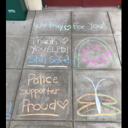 chalk_visitor_1.jpg
