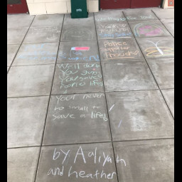 chalk_visitor_2.jpg
