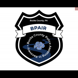 bpair_logo_3.png